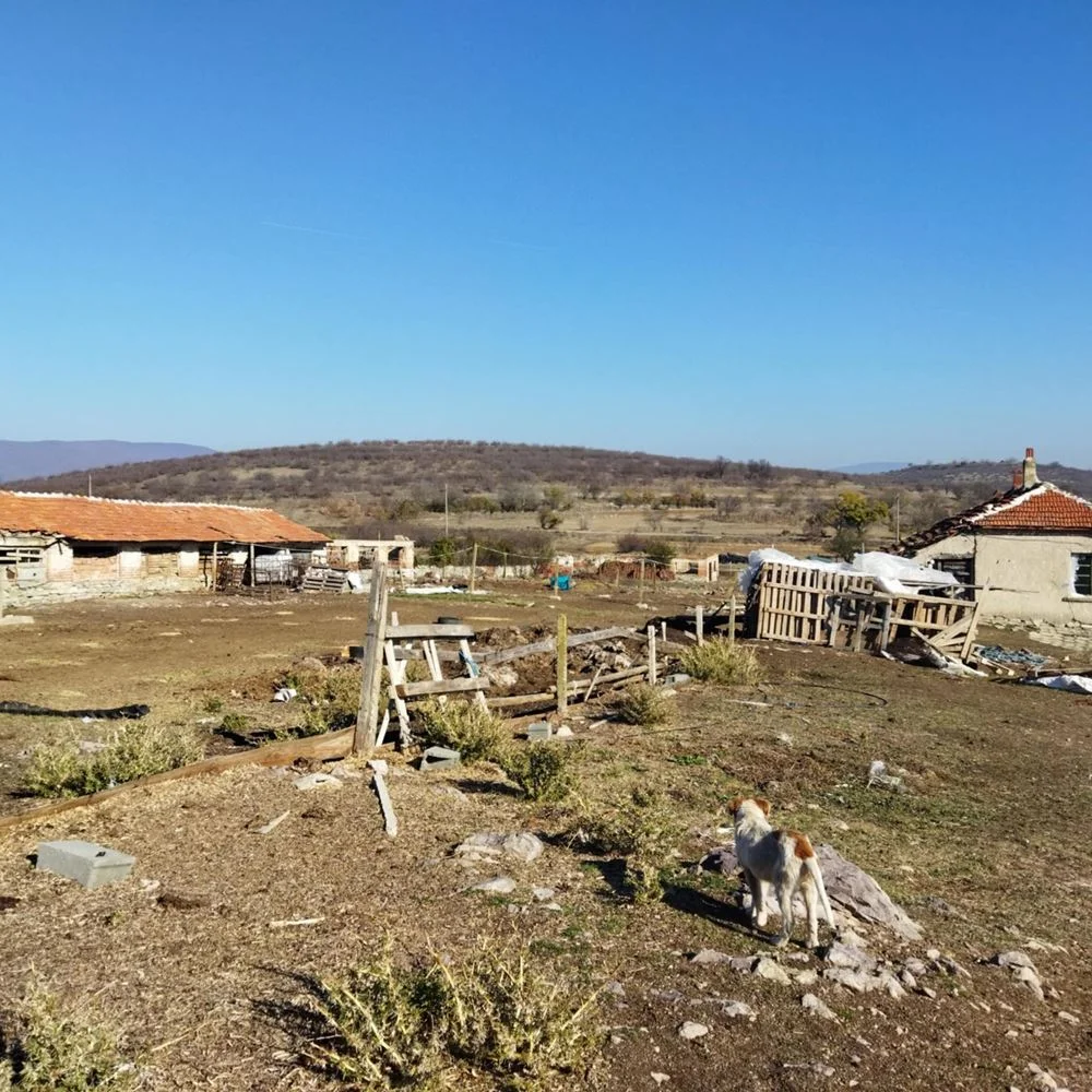 с. Zlati Voyvoda, Landwirtschaftlicher Hof 7253 sq. m-0 Dorf Zlati Voivoda, landwirtschaftliches Grundstück, 7253 m² – 0