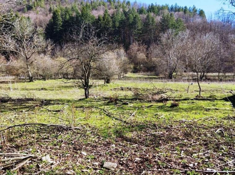 Продава парцел в землището на с. Ичера - 0