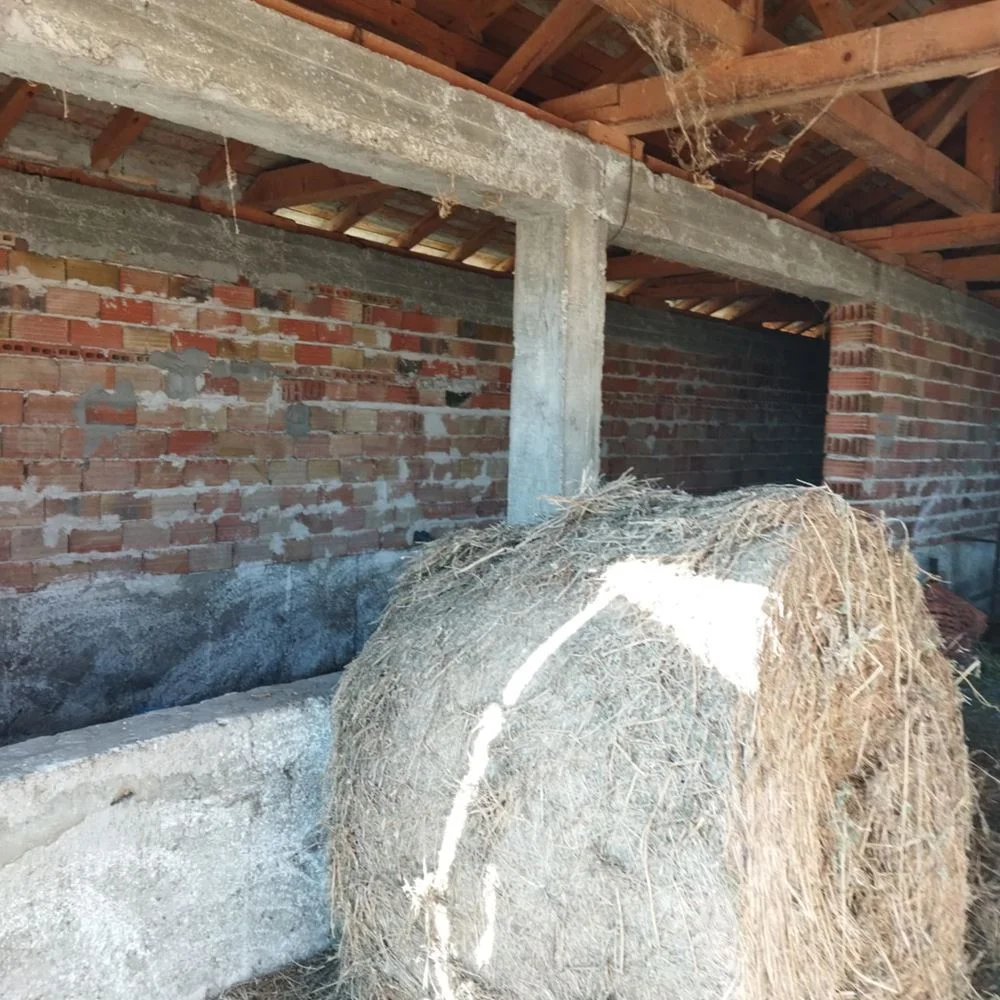 с. Zlati Voyvoda, Landwirtschaftlicher Hof 7253 sq. m-0 Dorf Zlati Voivoda, landwirtschaftliches Grundstück, 7253 m² – 0
