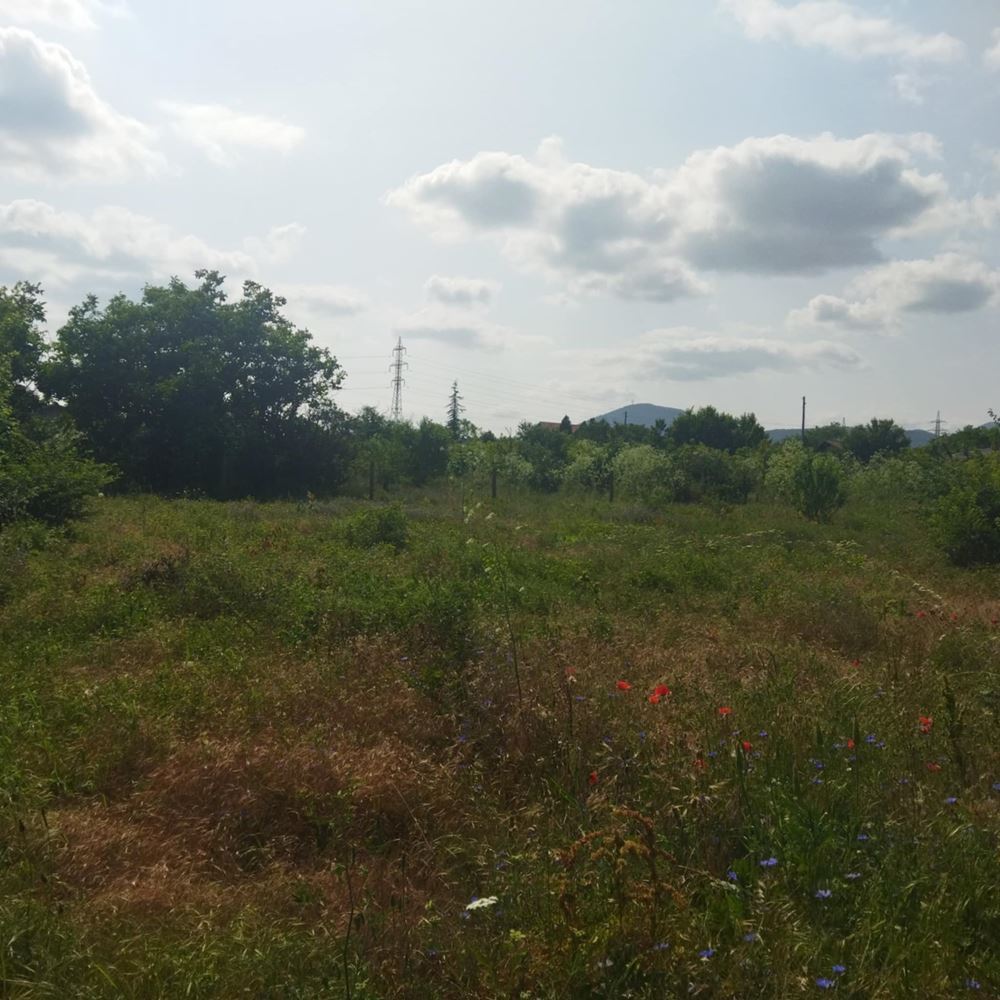 Вилен имот с ток, вода и постройки в м. Изгрев - Гюргюнлюка, 1090 кв.м. - 0
