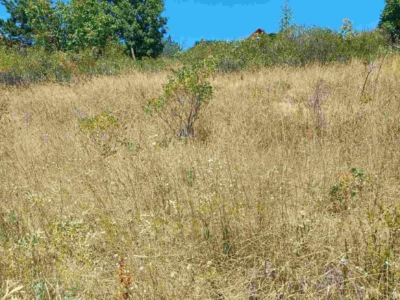 м. Градището - продава парцел - 0