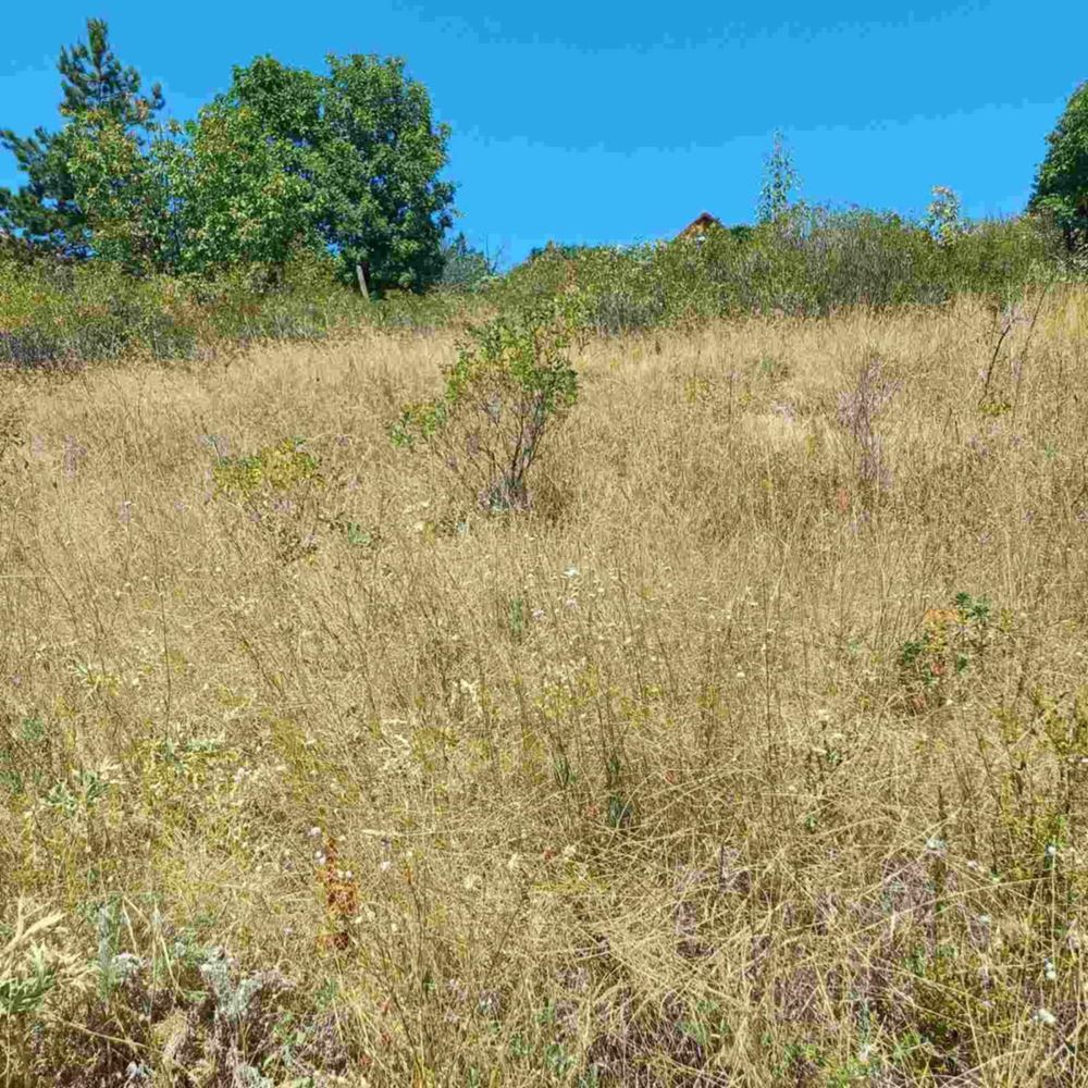 м. Градището – продава парцел-0 м. Градището - продава парцел - 0