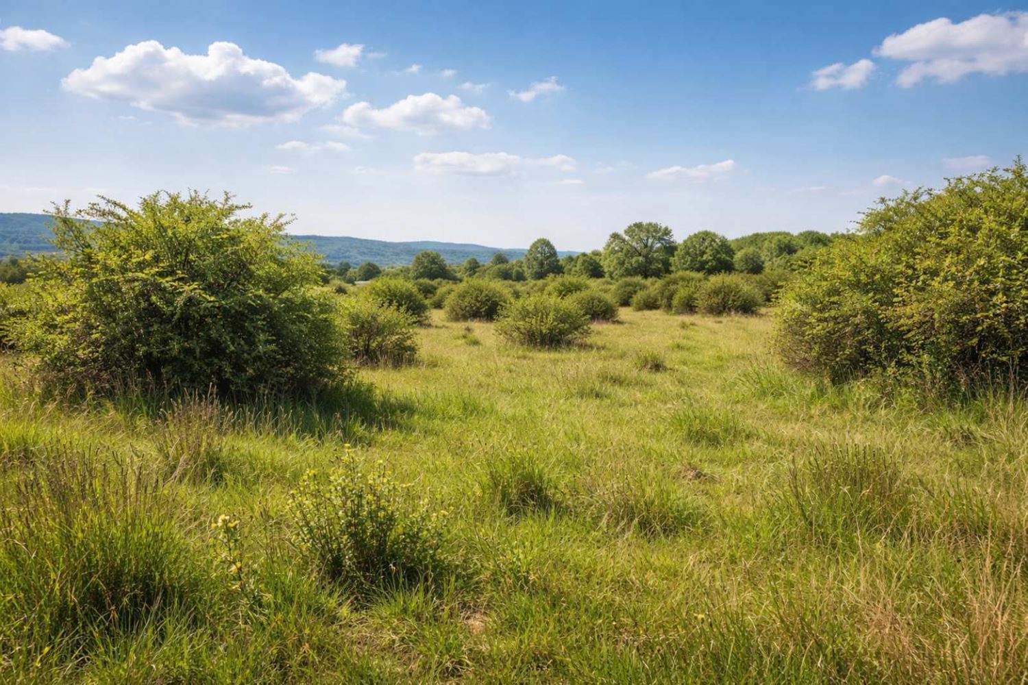 Продава се земеделска земя в землището на с. Панаретовци, общ. Сливен-0 Продава се земеделска земя в землището на с. Панаретовци, общ. Сливен - 0