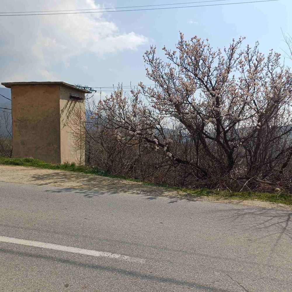 Парцел 1243 кв.м. в м. Моллова гора, лице на асфалтов път - 0