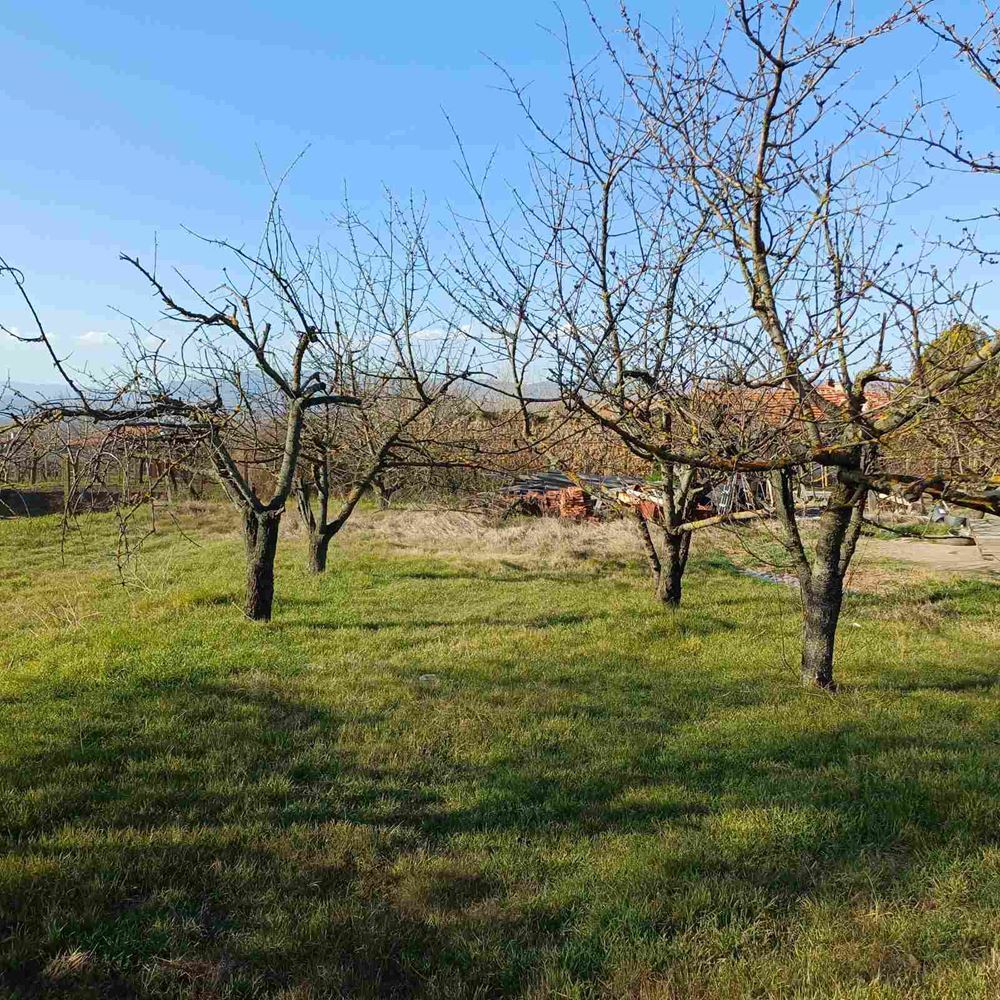 Дворно място в с. Ковачите – на 18 км. от Сливен-0 Дворно място в с. Ковачите - на 18 км. от Сливен - 0