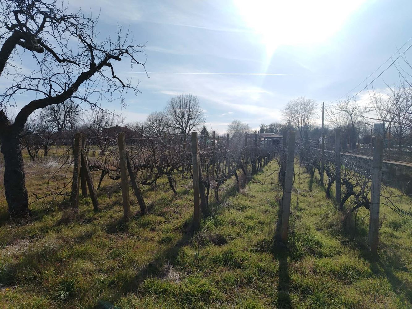 Attractive property for business and/or living in the village of. Zlati Voyvoda-0 Атрактивен имот за дейност и/или живеене в с. Злати войвода - 0