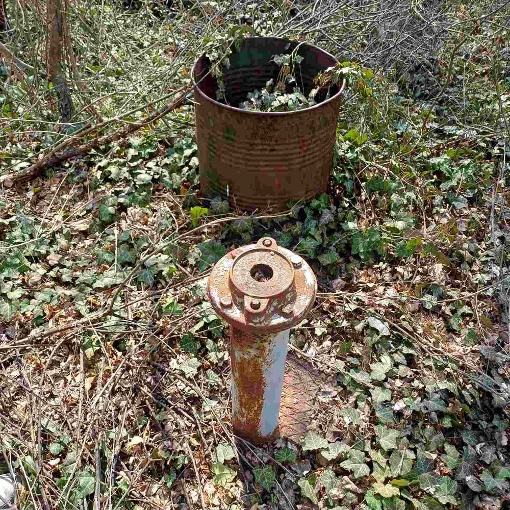 Grundstück 1243 Quadratmeter in m. Mollova Wald, gegenüber Asphaltstraße-0 Парцел 1243 кв.м. в м. Моллова гора, лице на асфалтов път - 0