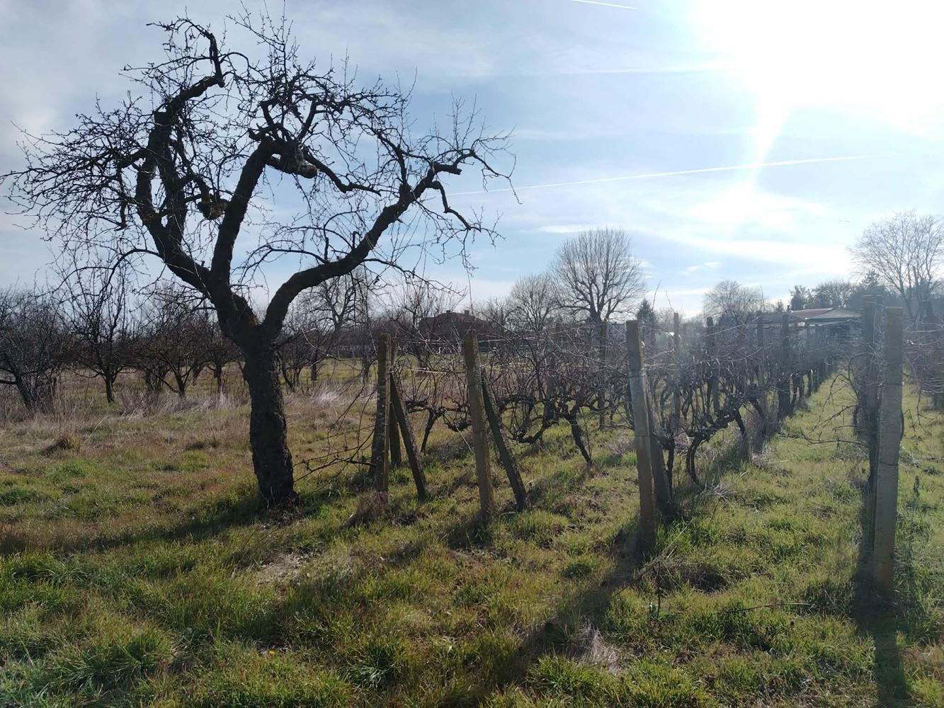 Attractive property for business and/or living in the village of. Zlati Voyvoda-0 Атрактивен имот за дейност и/или живеене в с. Злати войвода - 0