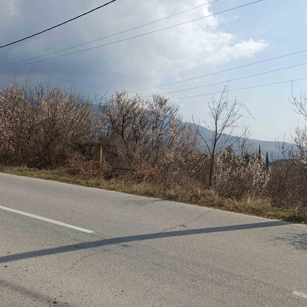 Парцел 1243 кв.м. в м. Моллова гора, лице на асфалтов път - 0