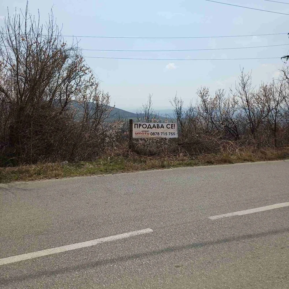 Grundstück 1243 Quadratmeter in m. Mollova Wald, gegenüber Asphaltstraße-0 Парцел 1243 кв.м. в м. Моллова гора, лице на асфалтов път - 0