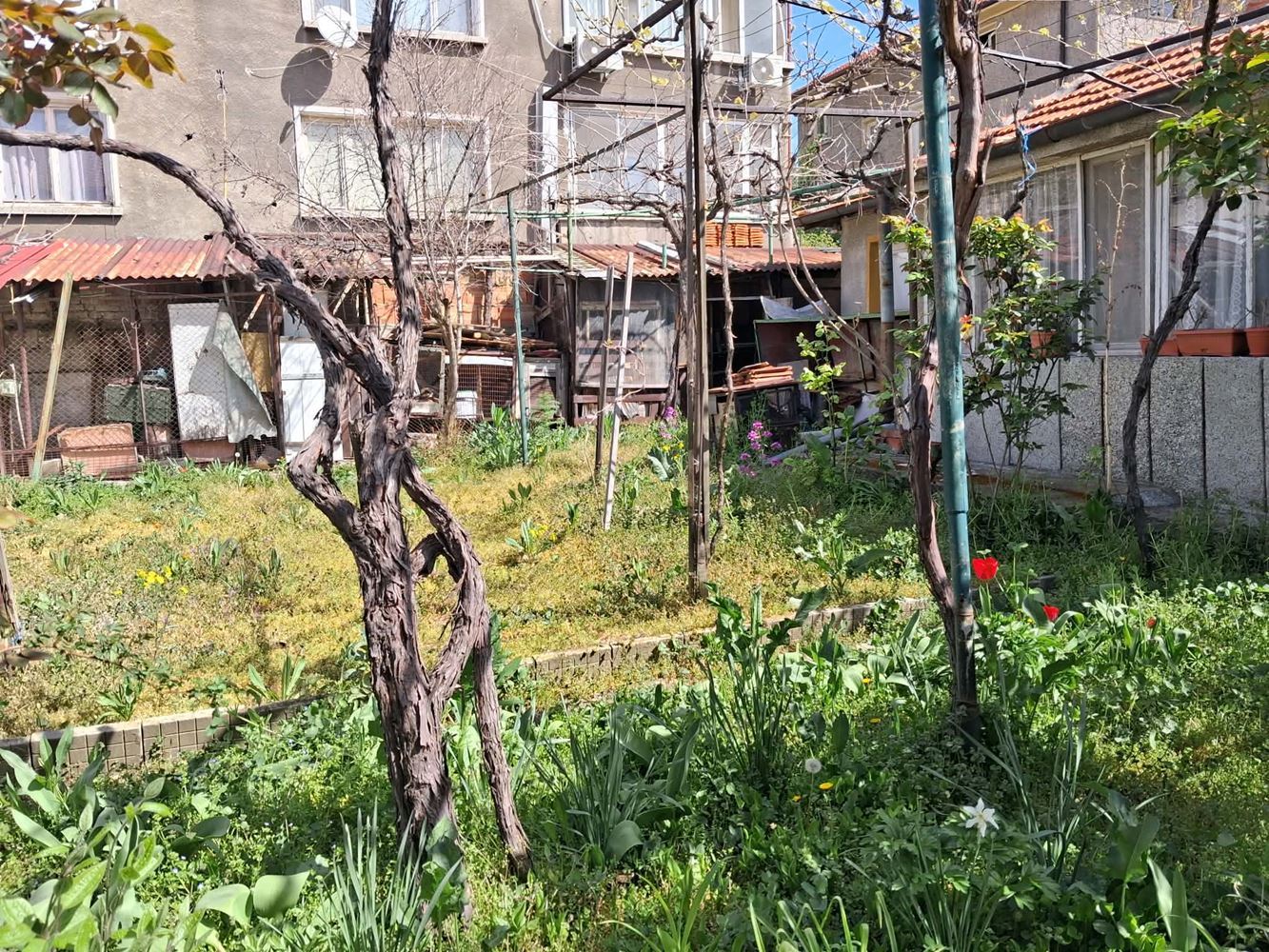 кв. Ново село, две къщи с двор 409 кв.м. - 0