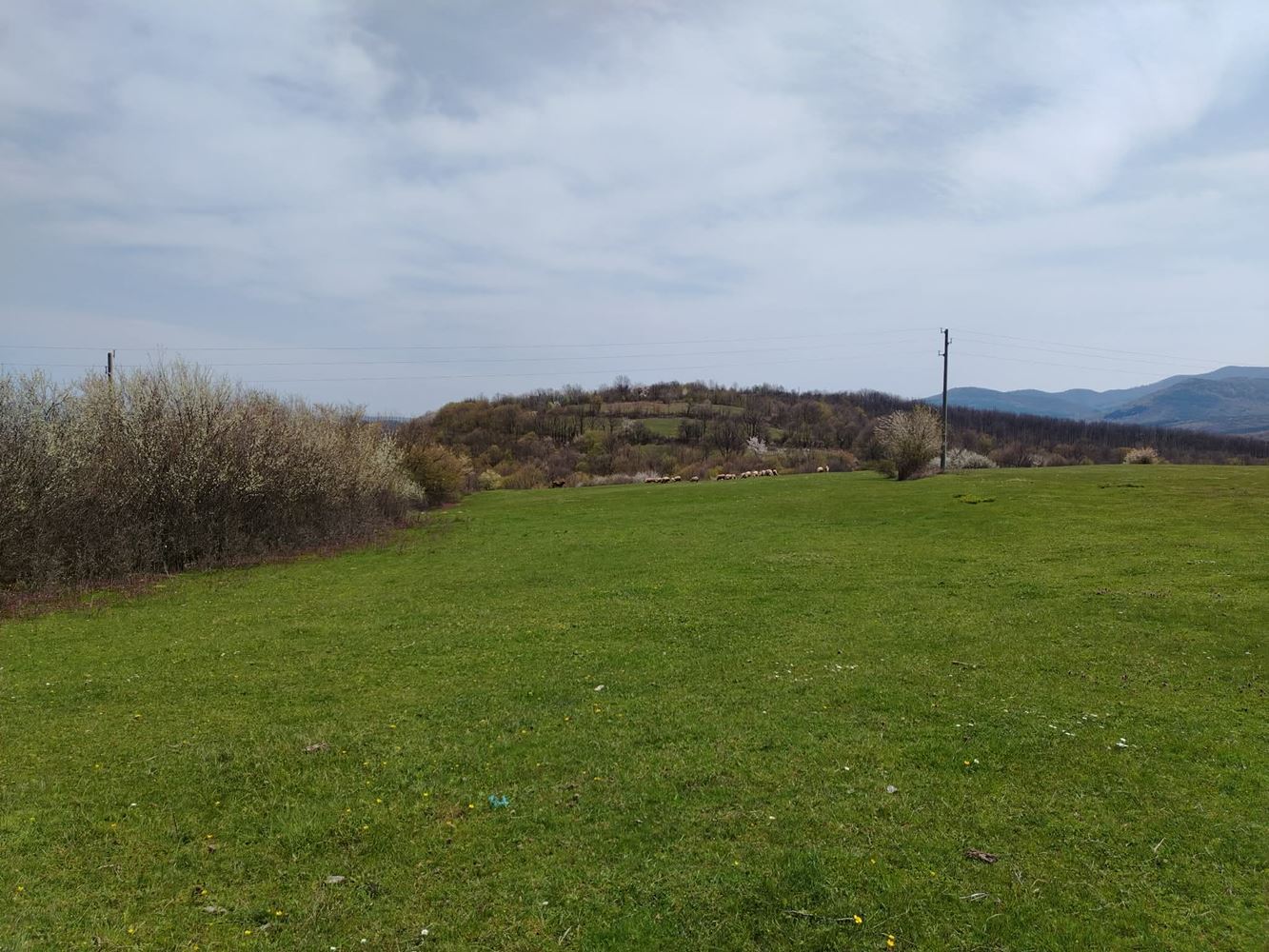 Уникален селски имот с автентичен дух в с. Божевци – близо до Сливен и Елена-0 Уникален селски имот с автентичен дух в с. Божевци – близо до Сливен и Елена - 0