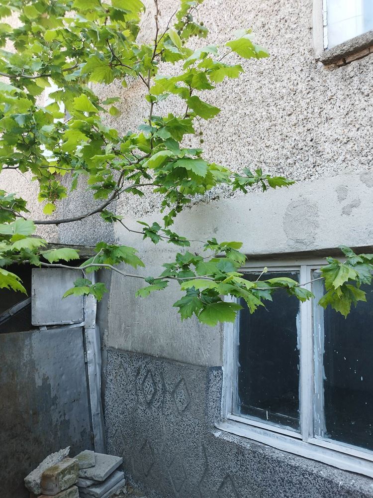 кв. ”КЛУЦОХОР” - продава тухлена къща с двор - 0