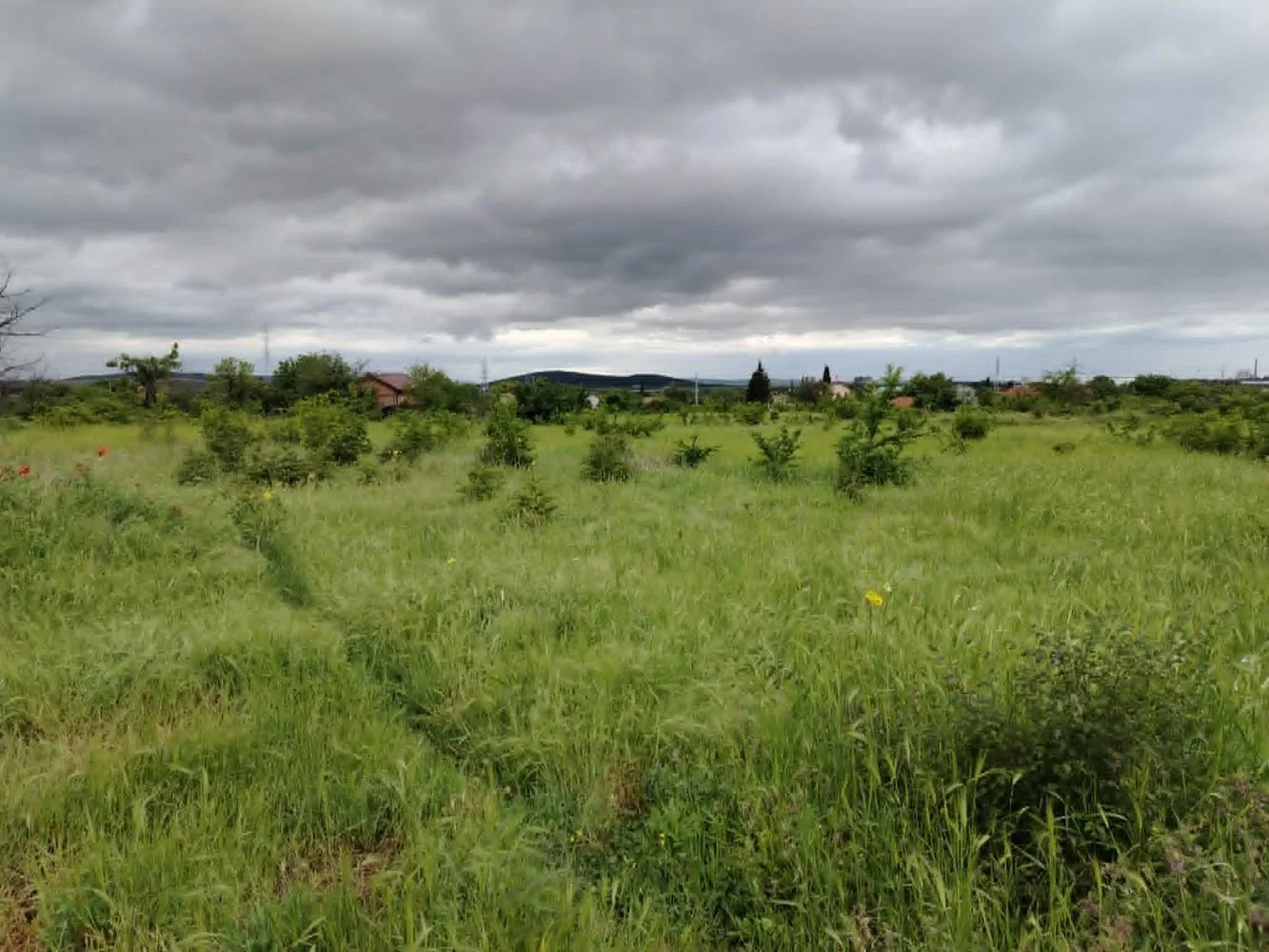Ebenes Grundstück mit Anschlüssen für Strom und Wasser-0 Ebenes Grundstück mit Strom- und Wasseranschlüssen – 0