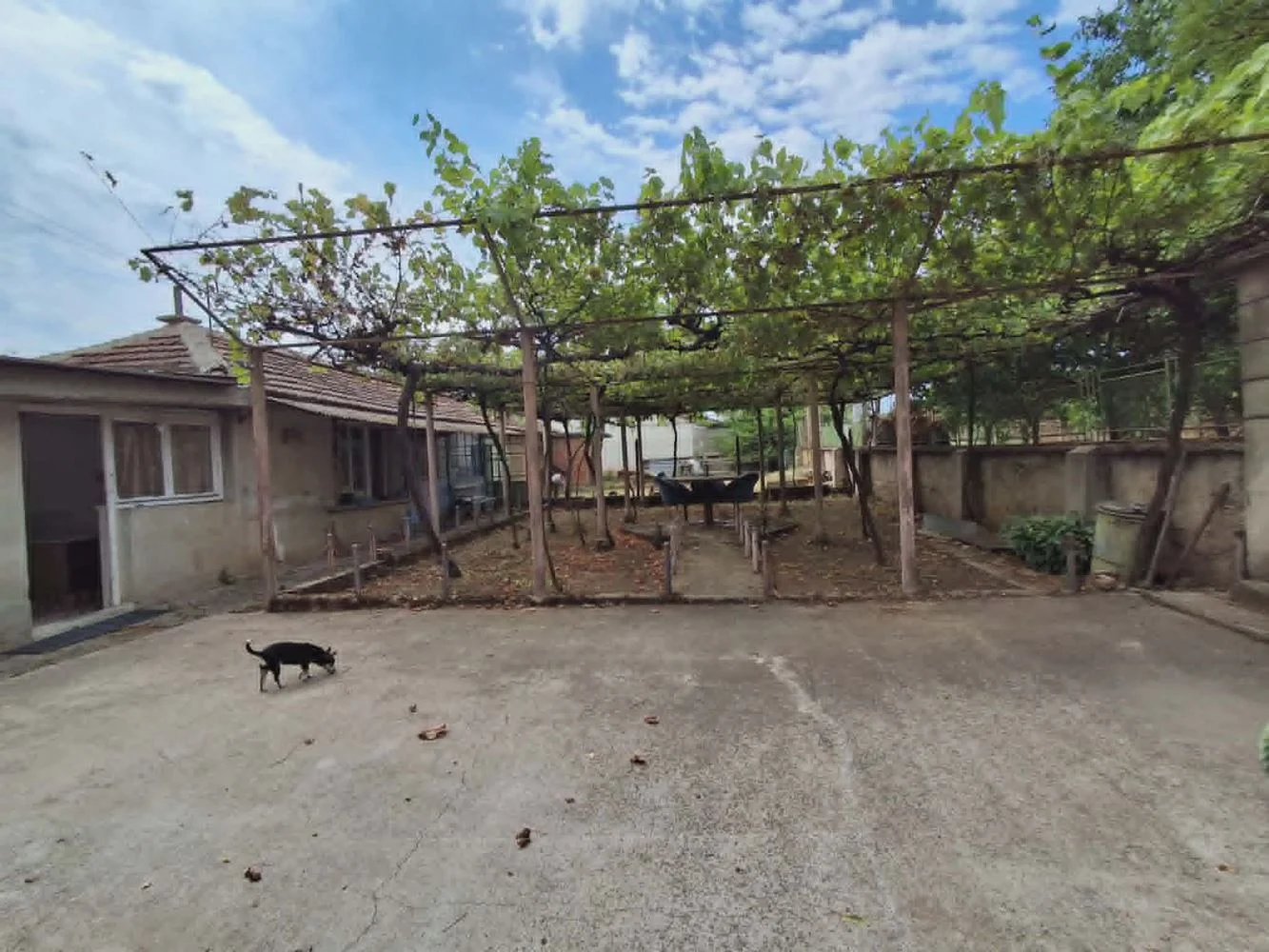 Dorf Kovachite, massives zweistöckiges Backsteinhaus, Grundstück 1800 m², Obstbäume, Garage, Sommerküche u. a. – 0 Dorf Kovachite, massives zweistöckiges Backsteinhaus, Grundstück 1800 m², Obstbäume, Garage, Sommerküche u. a. – 0