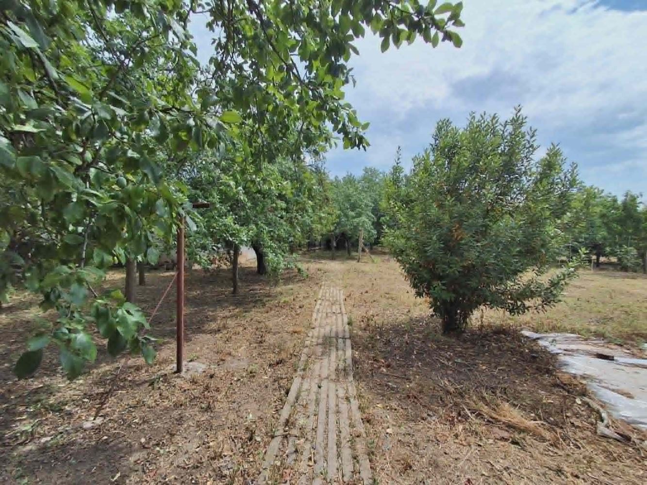 с. Ковачите, масивна тухлена къща на 2 етажа, двор 1800кв.м., овошки, гараж, лятна кухня и др.-0 с. Ковачите, масивна тухлена къща на 2 етажа, двор 1800кв.м., овошки, гараж, лятна кухня и др. - 0