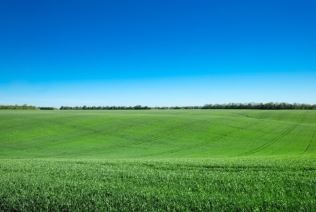 общ. Елхово, с. Голям Дервент, продават се земеделски земи - 73 дка. - 0