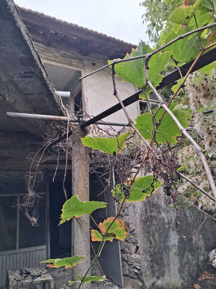 с. Злати Войвода парцел 819 кв.м. и стара къща, ток, вода - 0