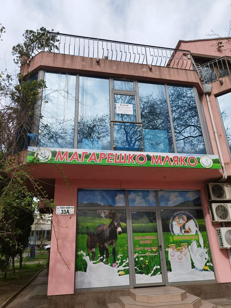 Zentrum, Büro zur Miete, 50 qm, unmöbliert-0 Център, Офис под наем, 50 кв.м, необзаведен - 0