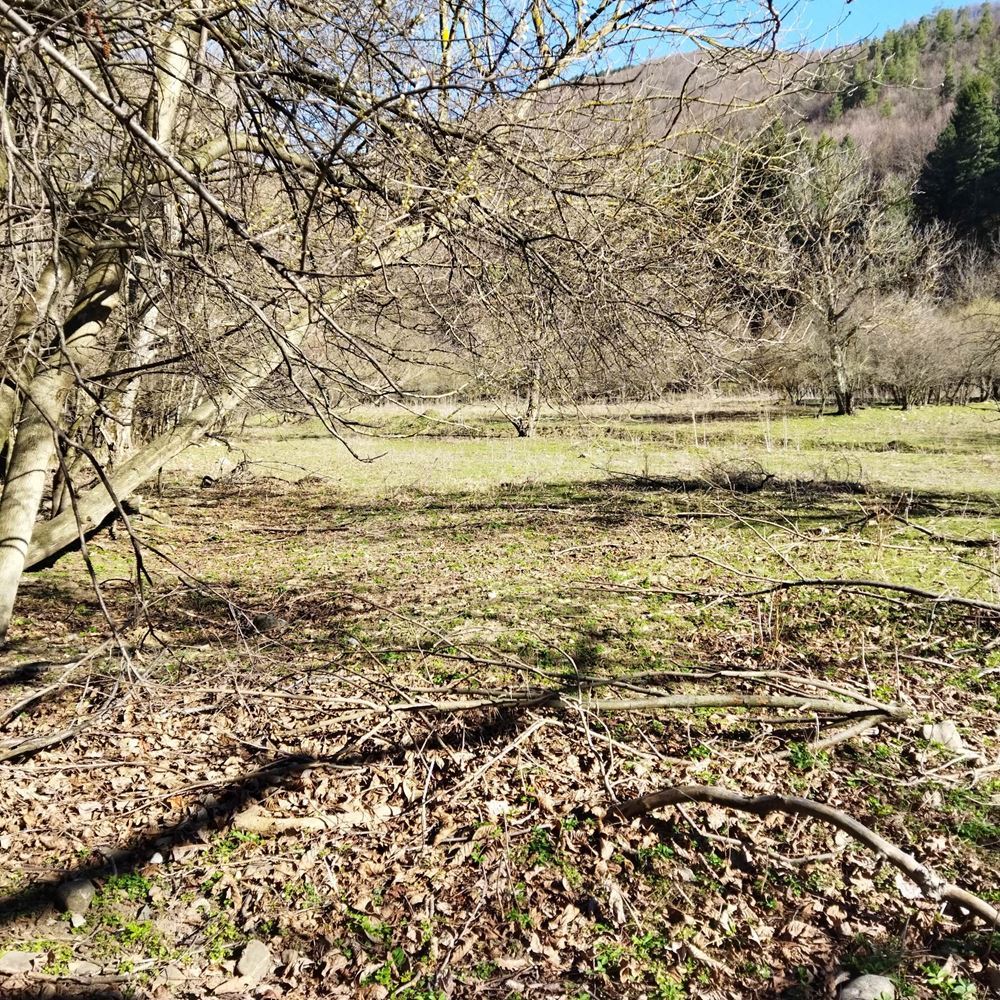 Zu verkaufen Grundstück in das Land der. Ichera-0 Grundstück im Gemeindegebiet des Dorfes Ichera zu verkaufen – 0