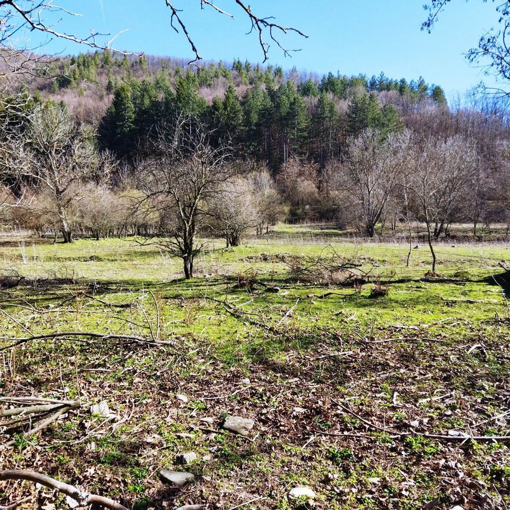 Zu verkaufen Grundstück in das Land der. Ichera-0 Grundstück im Gemeindegebiet des Dorfes Ichera zu verkaufen – 0